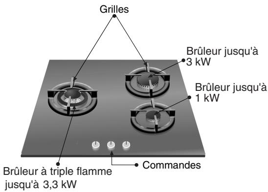 NEFF T62S15SO - Ainsi se présente votre table de cuisson : - 2