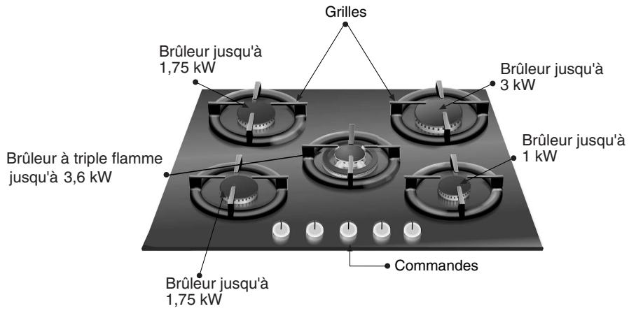 NEFF T62S15SO - Ainsi se présente votre table de cuisson : - 3