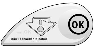 SCHOLTES RM160I - L'indicateur de température - 1