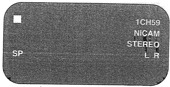 SHARP VC-GH61 - ÉCRAN - 1