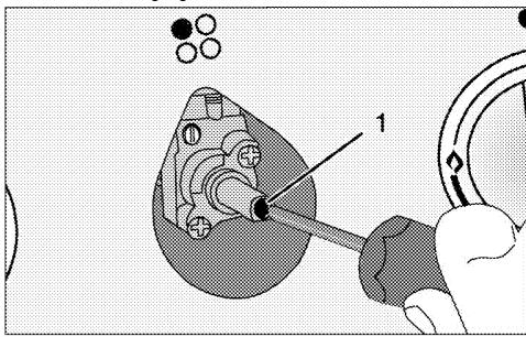 LEISURE PR900F560K - Vis de réglage du début - 1