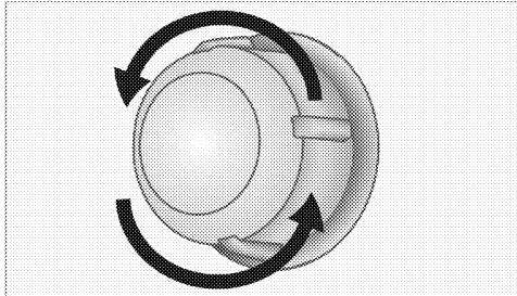 LEISURE PR900F560K - Si vous four est équipe d'une lampe ronde : - 1