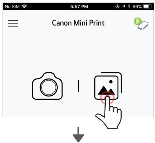 CANON Zoemini - GALERIE PHOTO - 1