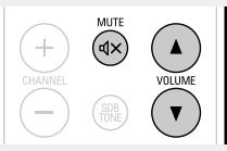 DENON D-M39 SCPW - Coupure temporaire du son - 1