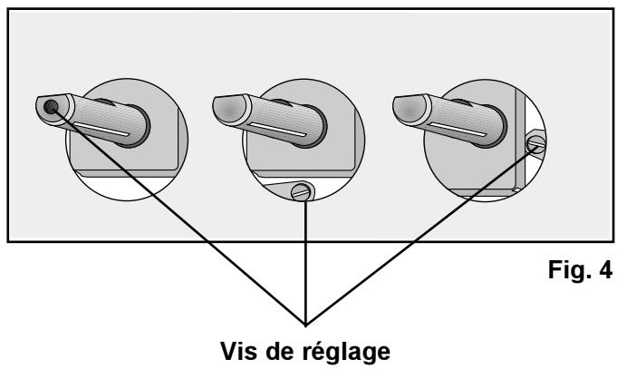 ZANUSSI ZGL631T - Alimentation en gaz Butane ou Propane - 2