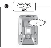 DELTA DORE DETEC FUM DFR TYXAL - Verbindung mit der Sirene - 3