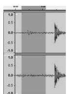 HALTERREGO H.TURN BLACK BiRDScopic - NETTOYER VOTRE ENREGISTREMENT (FACULTATIF) - 1