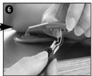 HALTERREGO H.TURN BLACK BiRDScopic - - Maintenance - 6