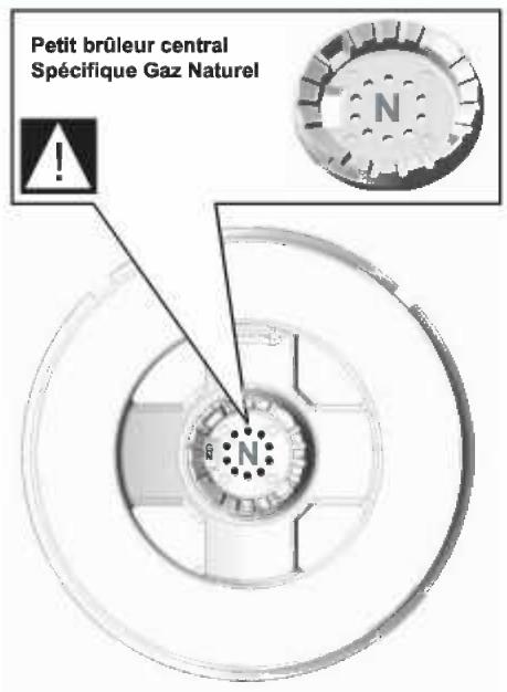 SAUTER STE607BF1 - PARTICULARITIES DU BRULEUR TRIPLE COURONNE - 4