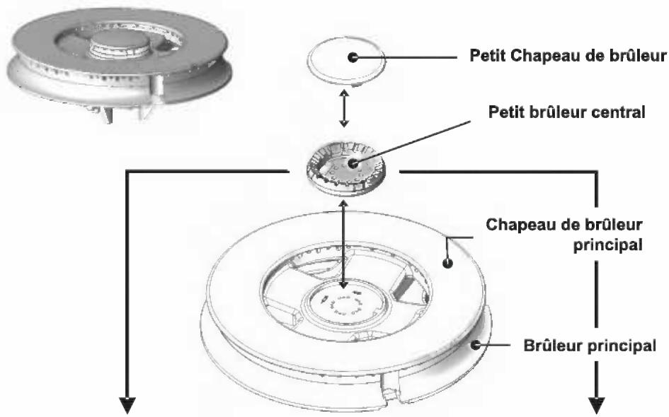 SAUTER STE607BF1 - PARTICULARITIES DU BRULEUR TRIPLE COURONNE - 3