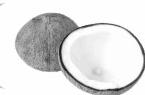 FAGOR FG753 - Autres - 1