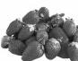 FAGOR FG753 - Frozen fruitsorice - 2