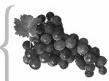 FAGOR FG753 - Frozen fruitsorice - 1