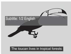 PIONEER DVR720H - DVD-Video - 2