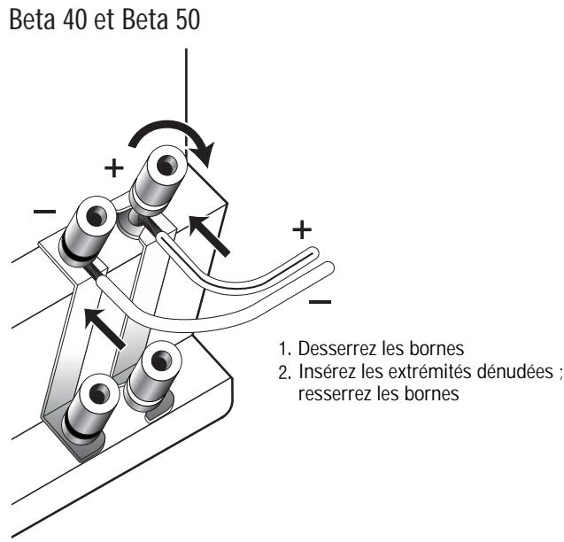INFINITY BETA C250 BEECH - Beta 10, Beta 20, Beta C250 et Beta C360 - 2