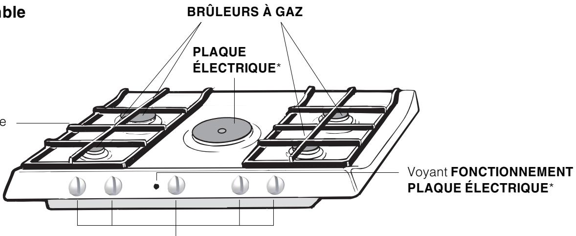 INDESIT PI 750 AS INOX - Adaptation aux différents types de gaz (pour la France et la Belgique) - 7