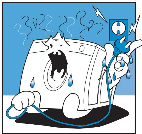 PROLINE VDP 910 M - REMARQUES ET CONSEILS POUR L'UTILISATEUR - 1