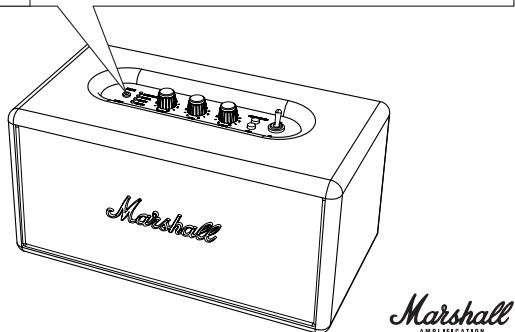 MARSHALL HANWELL - ENTREE 1 - PRISE STEREO 3,5 MM - 2
