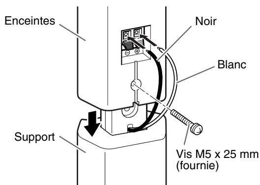 JVC TH-S5SRP - Avant l'assemblage : - 3