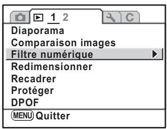 PENTAX KM+18-55+KIT+CHARG - Traitement des images avec desfiltres numériques - 2