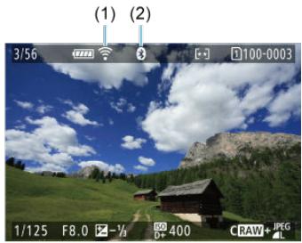 CANON R6 - macOS - 2