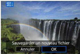 CANON R6 - Sauvegardez. - 1