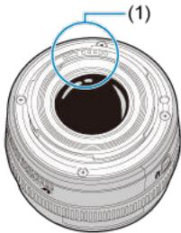 CANON R6 - Objectif - 1