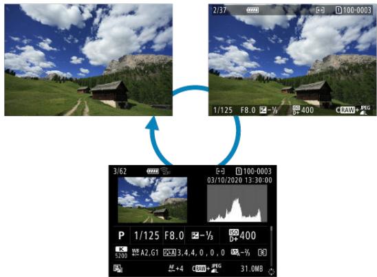 CANON R6 - Parcourez les images. - 2