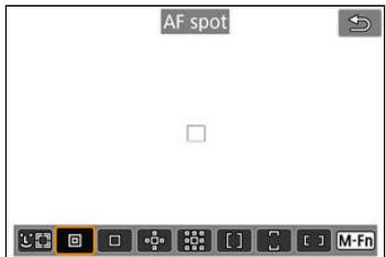 CANON R6 - ：AF spot - 1