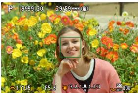 CANON R6 - Effectuez la mise au point sur le sujeet. - 1