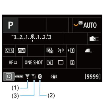 CANON R6 - macOS - 1