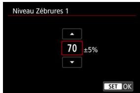 CANON R6 - Niveau Zébrues 1 - 1