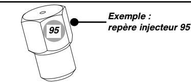SAUTER STG 927B INOX - Repérage des injecteurs - 1
