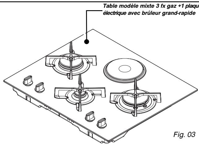 SAUTER STG 927B INOX - Conseil - 1