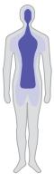 BRAUN IRT6515 - Body temperature - 1