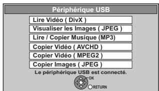 PANASONIC DMR-XW350 - Insérez la clé mémoire USB. - 1