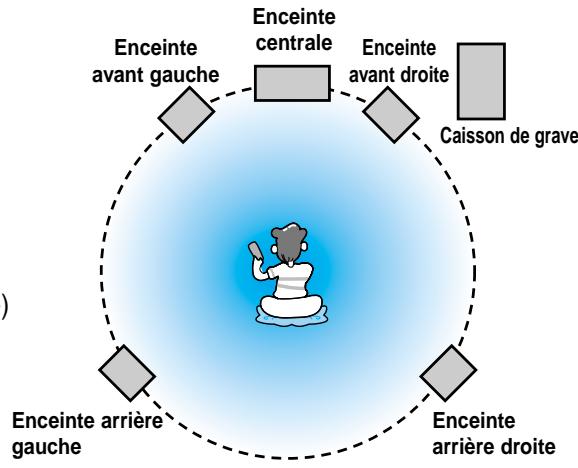 SAMSUNG HT-DM150 - Connexion des enceintes - 1