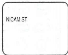 NICAM ST