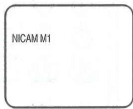 NICAM M1