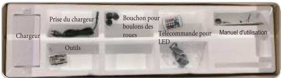 DUALTRON Mini - Handle - 3