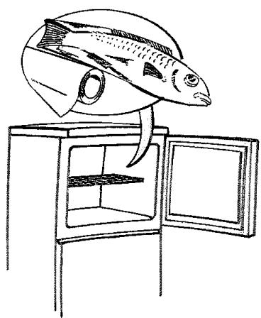 LADEN DP 164 - Production de glaçons - 1