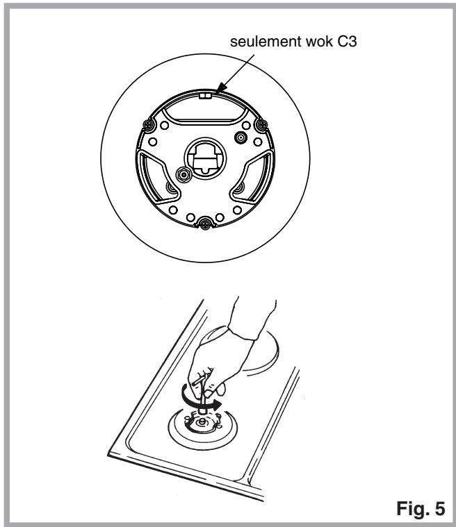 HOTPOINT DZ2 VS IX/HA INOX - Adaptation à un différent type de gaz (Fig. 5) - 2