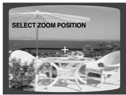 SAMSUNG HT-DS 460 ARG/NOIR - Fonction Zoom (Agrandissement de l'écran) - 1