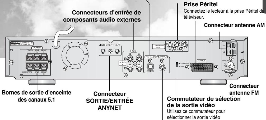 SAMSUNG HT-DS 460 ARG/NOIR - Prises de SORTIE COMPONENT VIDEO - 1