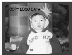 SAMSUNG HT-DS 460 ARG/NOIR - Paramétrre le papier point - 2