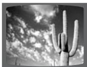 SAMSUNG HT-DS 460 ARG/NOIR - Appuyez rapidement sur I▶▶. - 3