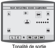 SAMSUNG HT-DS 460 ARG/NOIR - Paramétrage du RRSS (Système d'amplification Surround arrière) - 1