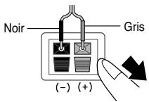 SAMSUNG HT-DS 460 ARG/NOIR - Arrière des enceintes - 2