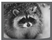 SAMSUNG HT-DS 460 ARG/NOIR - Appuyez rapidement sur I▶▶. - 10