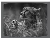 SAMSUNG HT-DS 460 ARG/NOIR - Appuyez rapidement sur I▶▶. - 8